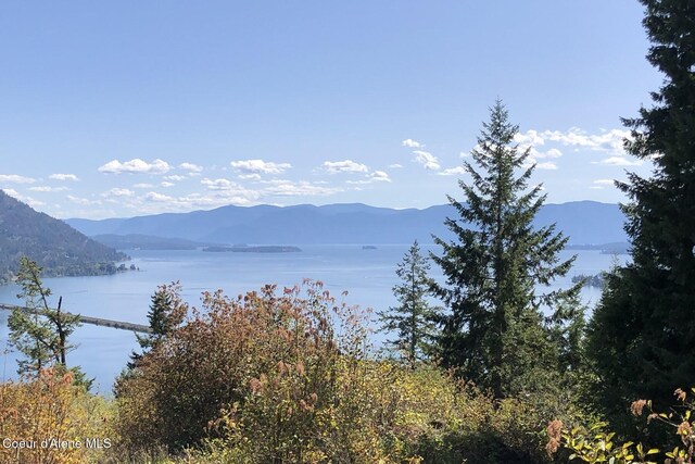 NKAI3 Greatwater Cir, Sandpoint, ID 83864