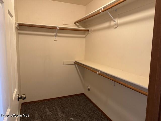 2359 N Alfalfa Loop, Post Falls, ID 83854 - walk in closet with carpet floors
