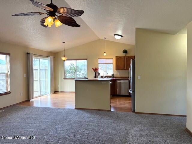 2359 N Alfalfa Loop, Post Falls, ID 83854 - kitchen with vaulted ceiling, dark carpet, a textured ceiling, and appliances with stainless steel finishes
