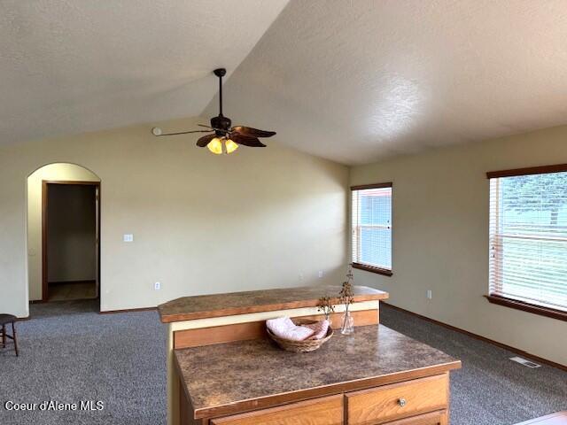 2359 N Alfalfa Loop, Post Falls, ID 83854 - kitchen featuring ceiling fan, lofted ceiling, dark countertops, and a wealth of natural light