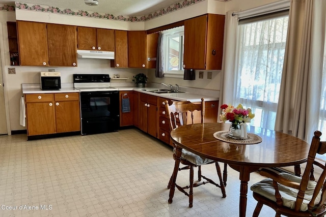321 High St, Priest River, ID 83856 - kitchen with brown cabinets, range with electric stovetop, under cabinet range hood, light countertops, and a sink