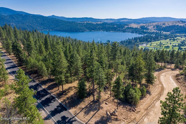 409 N W Starr Ln, Liberty Lake, WA 99019 - photo 5