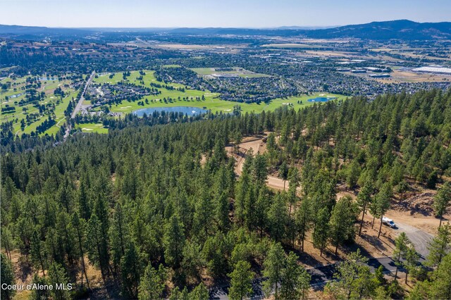 409 N W Starr Ln, Liberty Lake, WA 99019 - photo 7