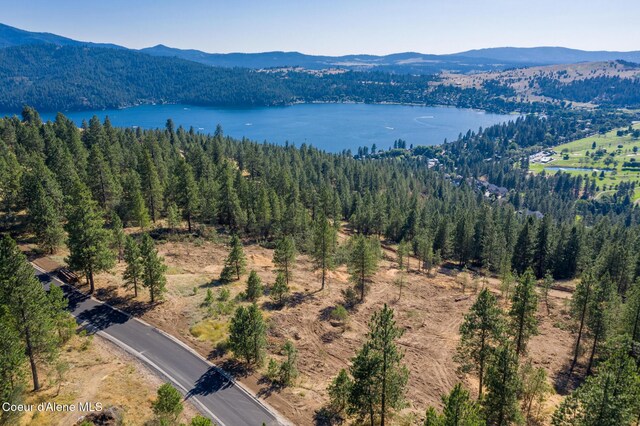 409 N W Starr Ln, Liberty Lake, WA 99019 - photo 10