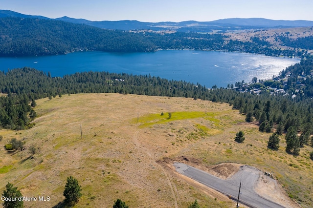 409 N W Starr Ln, Liberty Lake, WA 99019 - photo 17