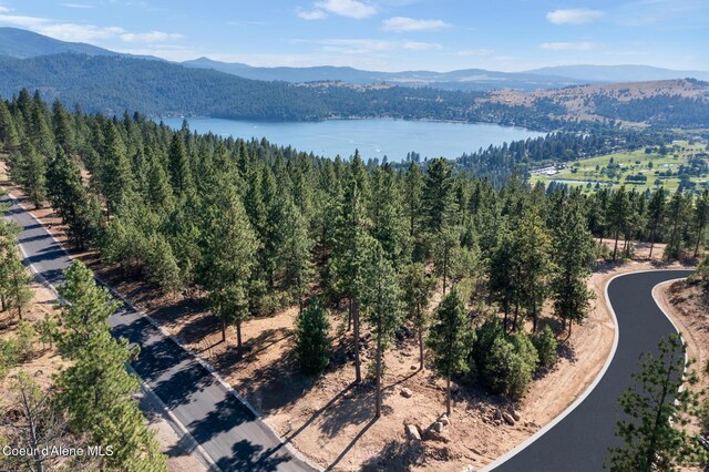 409 N W Starr Ln, Liberty Lake, WA 99019 - photo 19