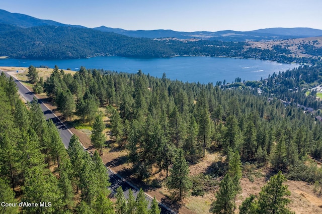 103 N W Starr Ln, Liberty Lake, WA 99019 - photo 12