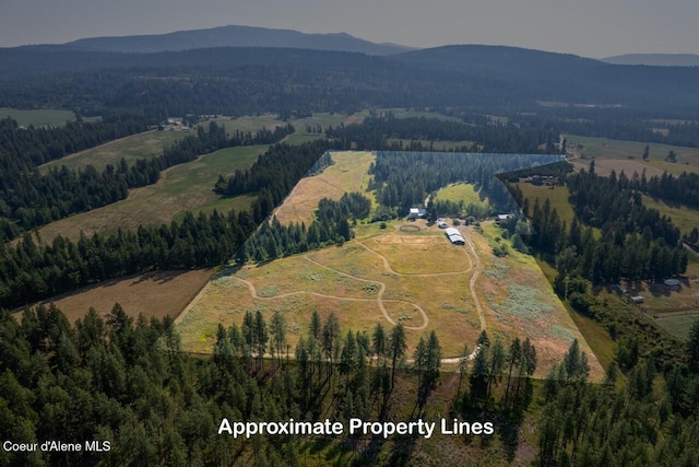 drone / aerial view featuring a mountain view