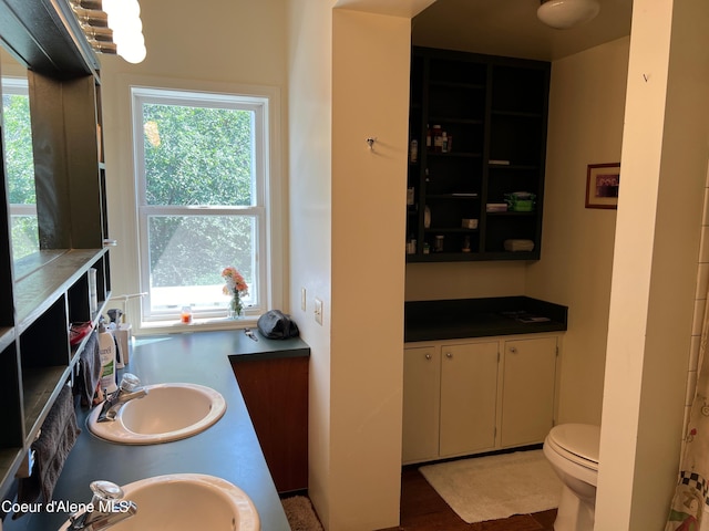 full bathroom featuring toilet and a sink