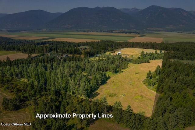 birds eye view of property with a rural view and a mountain view