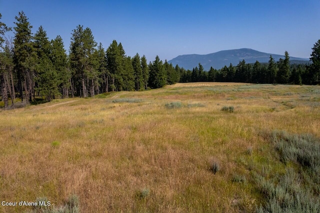 view of mountain feature featuring a wooded view