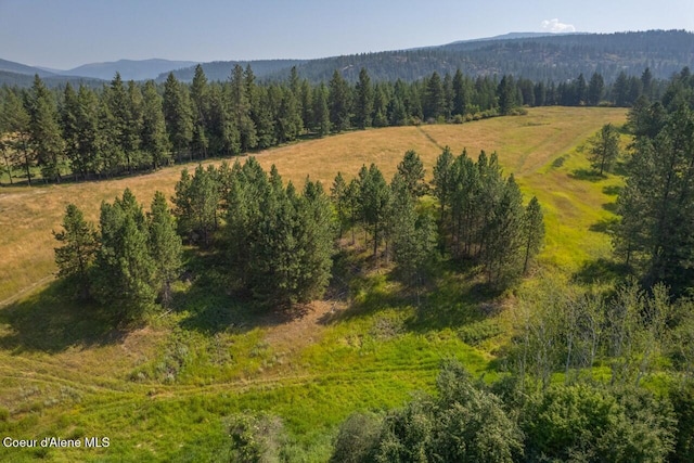 birds eye view of property featuring a forest view and a mountain view