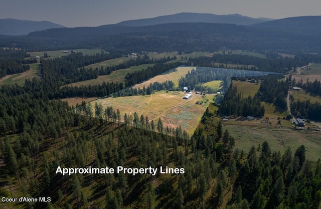 aerial view with a mountain view