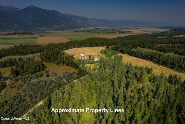 bird's eye view featuring a mountain view, a view of trees, and a rural view