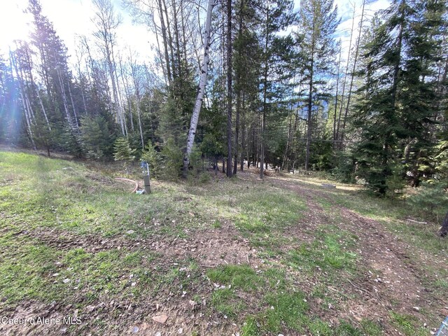 42628 Silver Valley Rd, Kingston, ID 83839 - photo 23