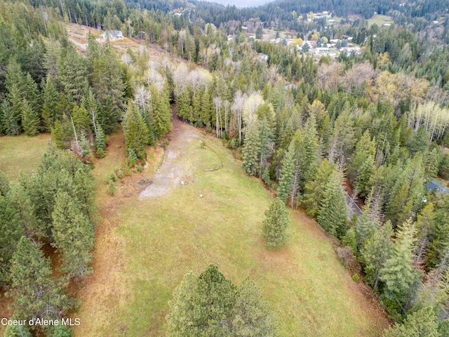 42628 Silver Valley Rd, Kingston, ID 83839 - photo 27