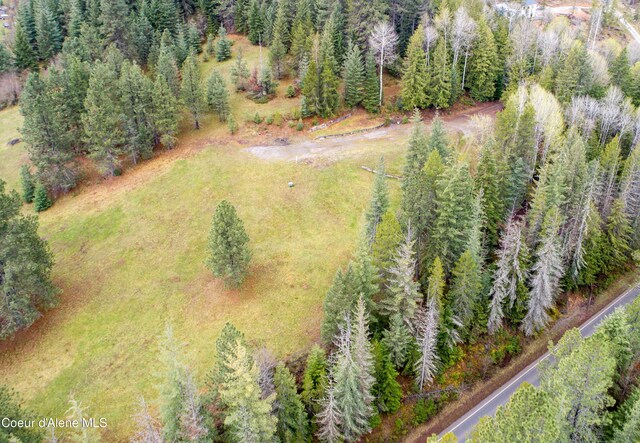 42628 Silver Valley Rd, Kingston, ID 83839 - photo 28