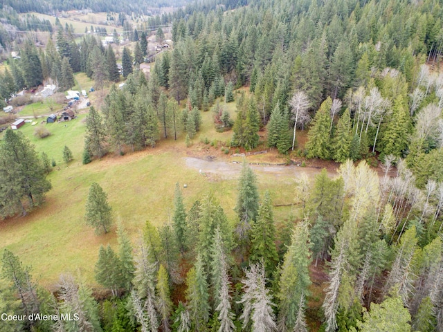 42628 Silver Valley Rd, Kingston, ID 83839 - photo 29