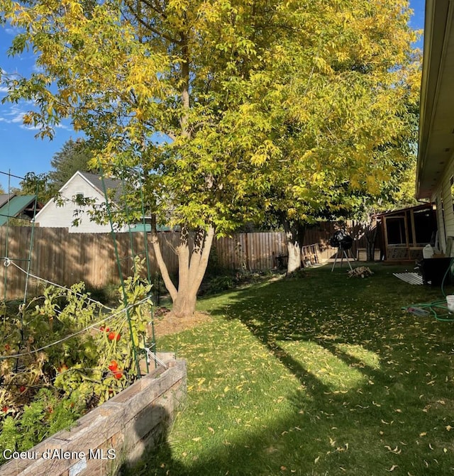 view of yard