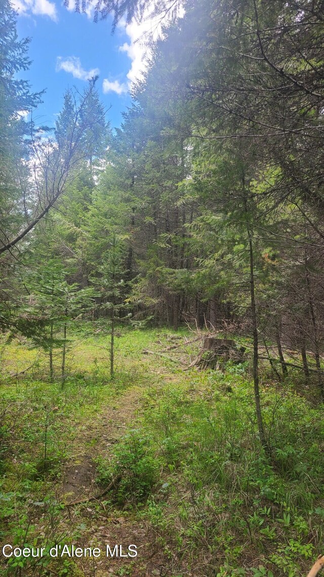 155 Alberato Rd, Priest River, ID 83856