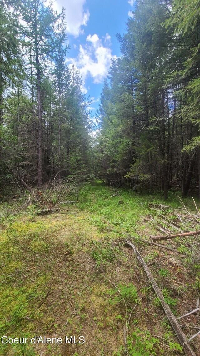 155 Alberato Rd, Priest River, ID 83856