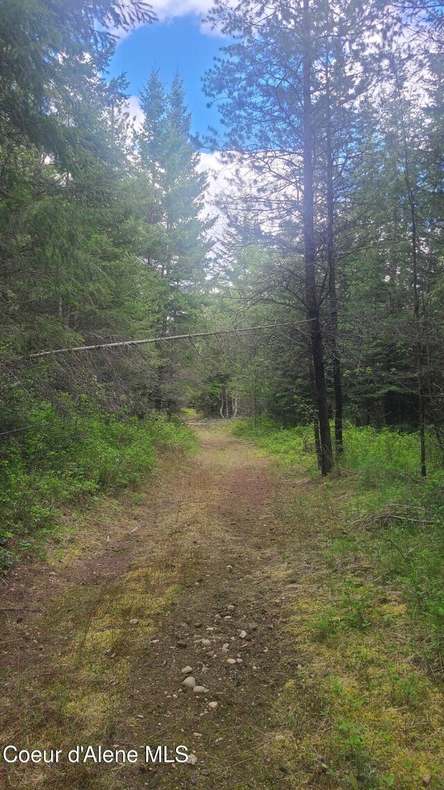 155 Alberato Rd, Priest River, ID 83856