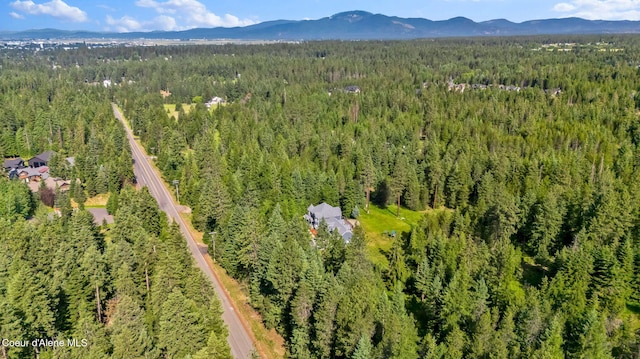 3825 E English Point Rd, Hayden, ID 83835 - aerial overview of property's location with a mountainous background