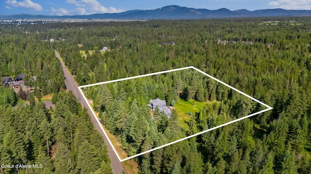 3825 E English Point Rd, Hayden, ID 83835 - aerial view of property and surrounding area featuring a mountainous background and property parcel outlined