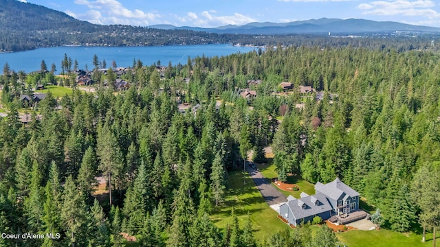 3825 E English Point Rd, Hayden, ID 83835 - bird's eye view of a forest and a water and mountain view