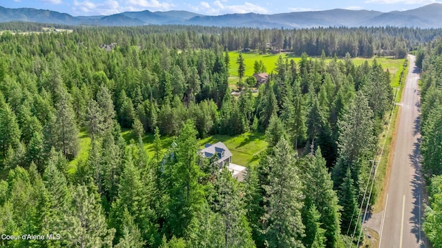 3825 E English Point Rd, Hayden, ID 83835 - bird's eye view of a mountainous background