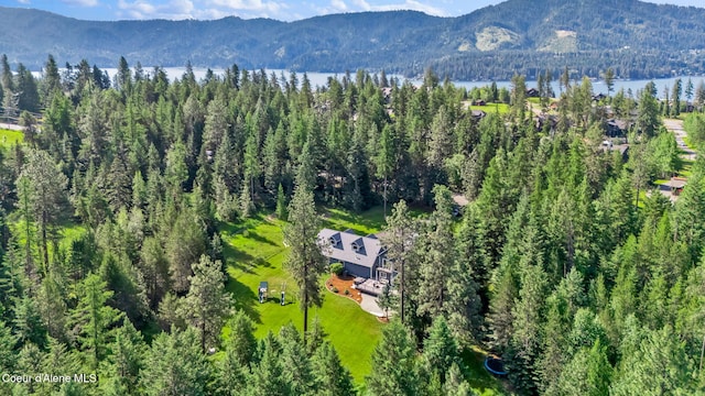 3825 E English Point Rd, Hayden, ID 83835 - aerial view of a heavily wooded area and a water and mountain view