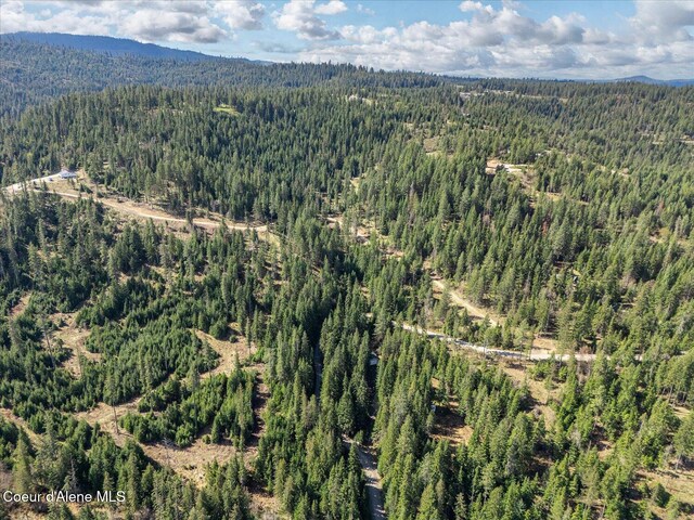 4891 E Eagles Mere Rd, Harrison, ID 83833 - photo 35