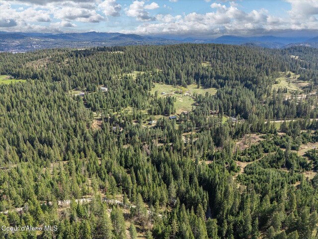 4891 E Eagles Mere Rd, Harrison, ID 83833 - photo 40