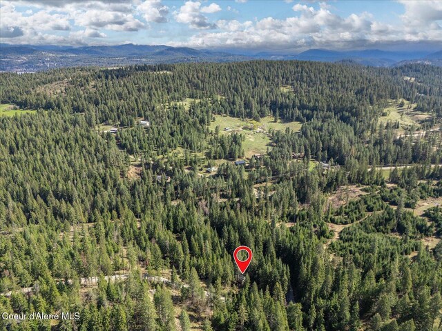 4891 E Eagles Mere Rd, Harrison, ID 83833 - photo 41