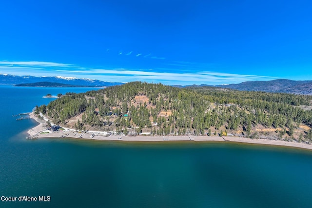 0 Farkle Flts, Sandpoint, ID 83864 - photo 1