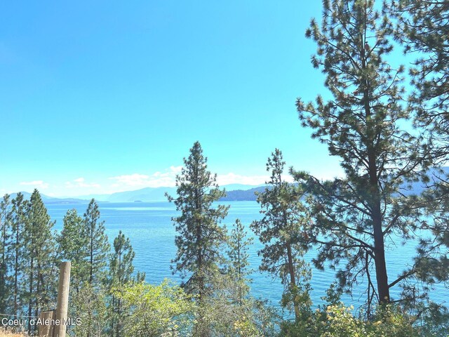 0 Farkle Flts, Sandpoint, ID 83864 - photo 15
