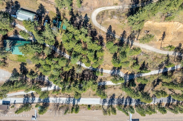 0 Farkle Flts, Sandpoint, ID 83864 - photo 5