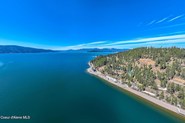 0 Farkle Flts, Sandpoint, ID 83864 - photo 16
