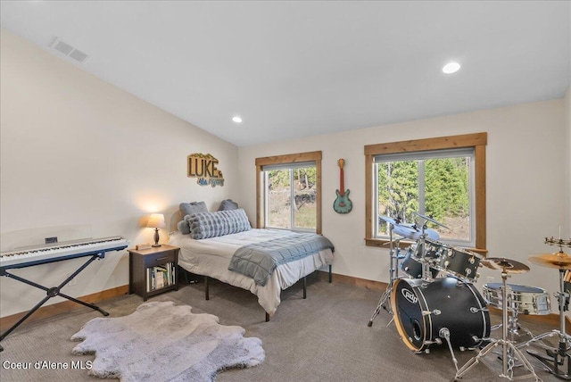 329 N Healing Dr, Blanchard, ID 83804 - bedroom featuring vaulted ceiling, carpet, baseboards, visible vents, and recessed lighting