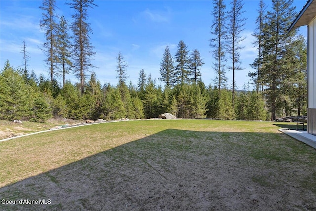 329 N Healing Dr, Blanchard, ID 83804 - view of yard