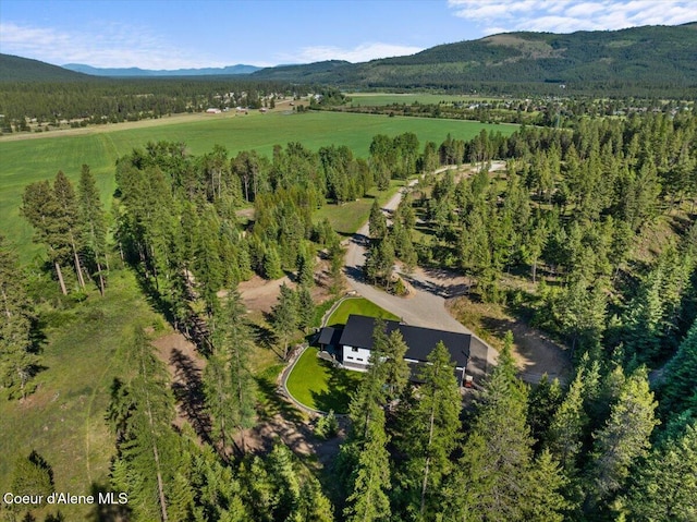 329 N Healing Dr, Blanchard, ID 83804 - aerial view of property's location with mountains