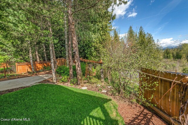 view of yard with a fenced backyard and a patio area