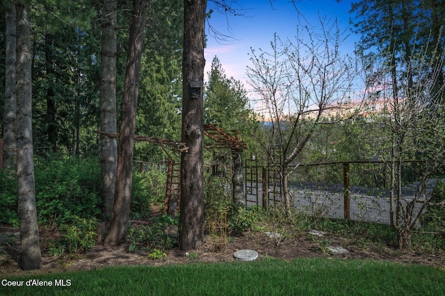 view of yard at dusk