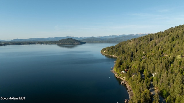 3338 Bottle Bay Rd, Sagle, ID 83860 - property view of water with a mountain view