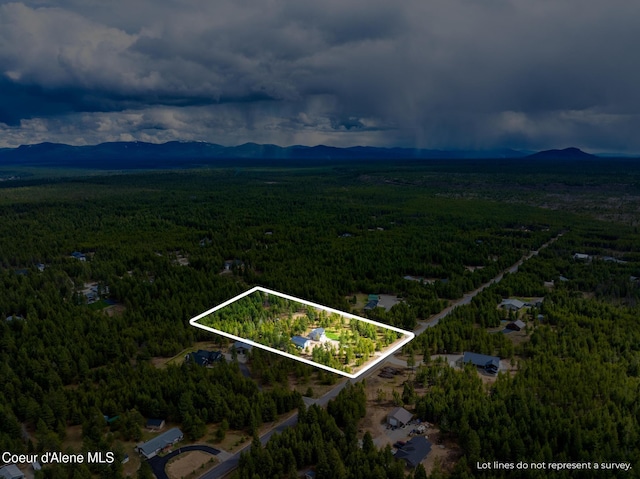 299 Cardinal Ln, Spirit Lake, ID 83869 - photo 30
