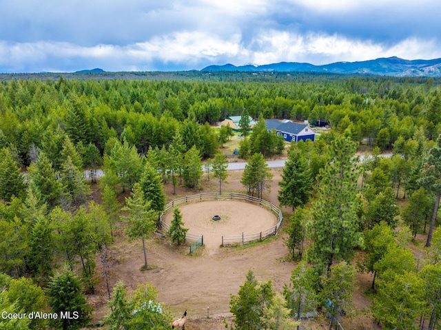 299 Cardinal Ln, Spirit Lake, ID 83869 - photo 3