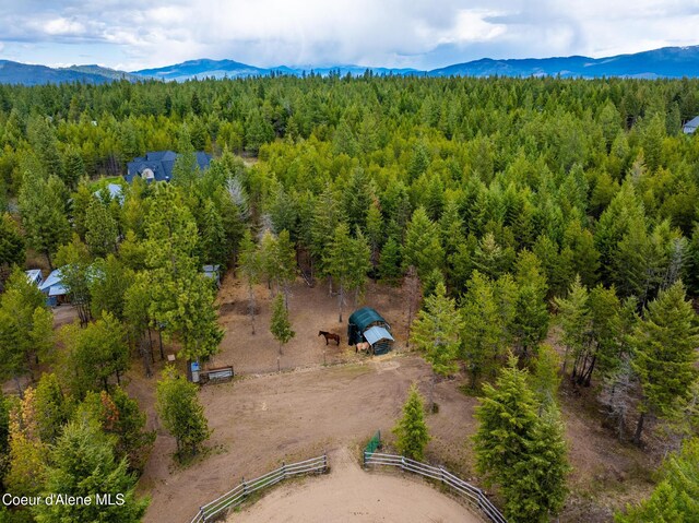 299 Cardinal Ln, Spirit Lake, ID 83869 - photo 4
