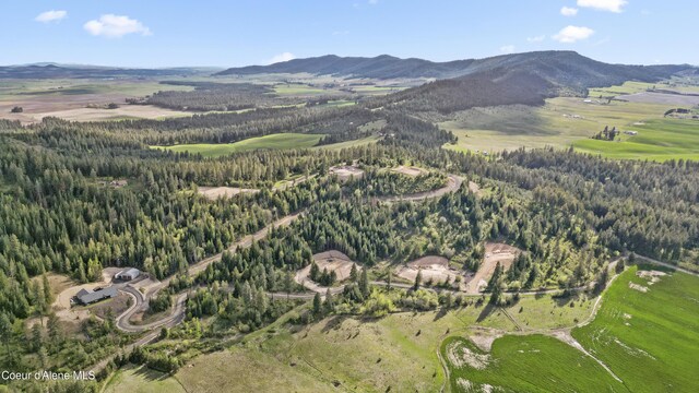 LOT5 Lone Moose Dr, Plummer, ID 83851