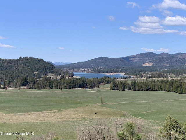 NNA Moose Mountain Rd, Priest River, ID 83856
