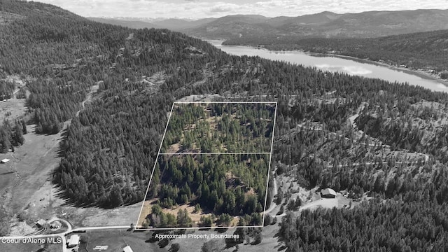 NNA Moose Mountain Rd, Priest River, ID 83856